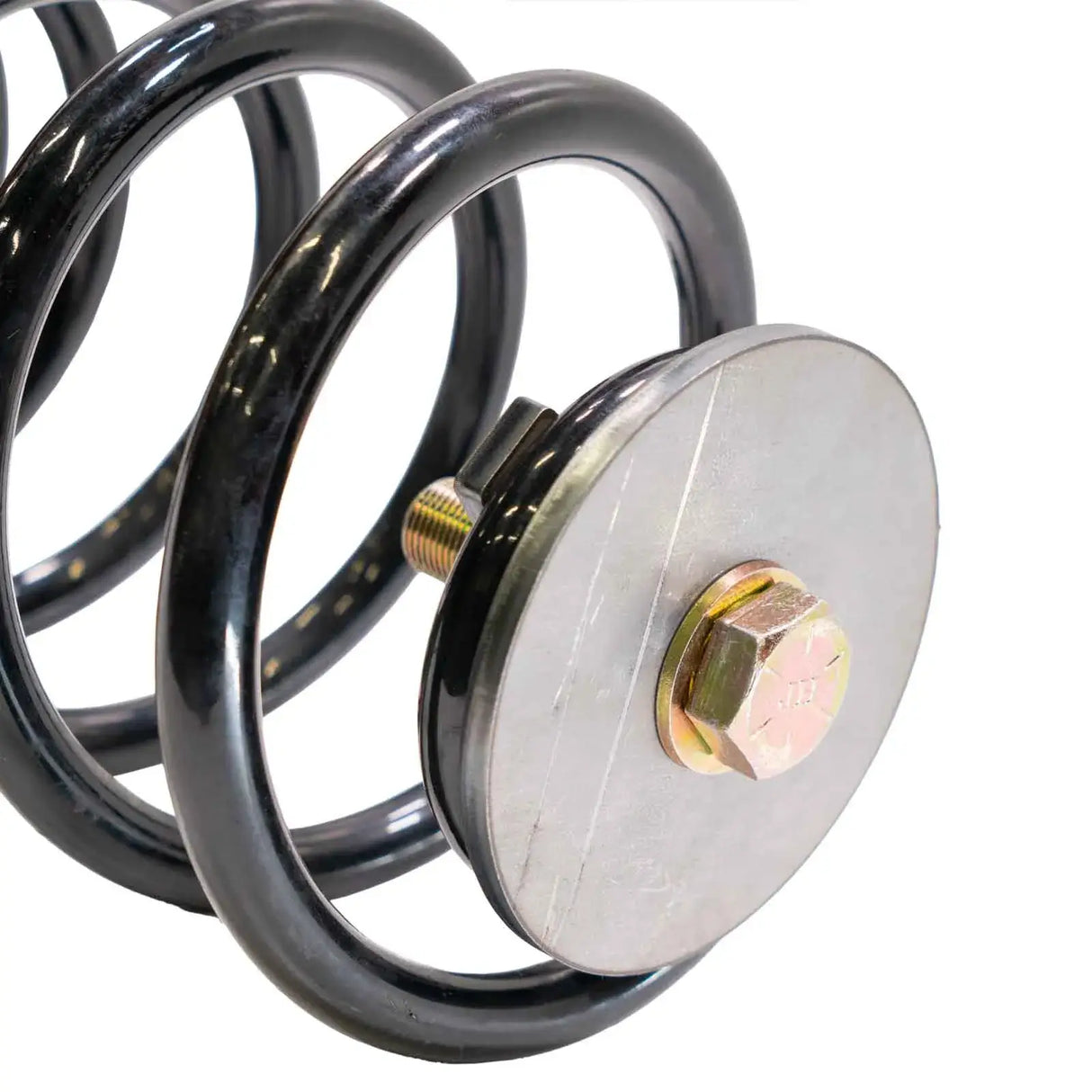 Coil Spring Pig Tail Tie Downs