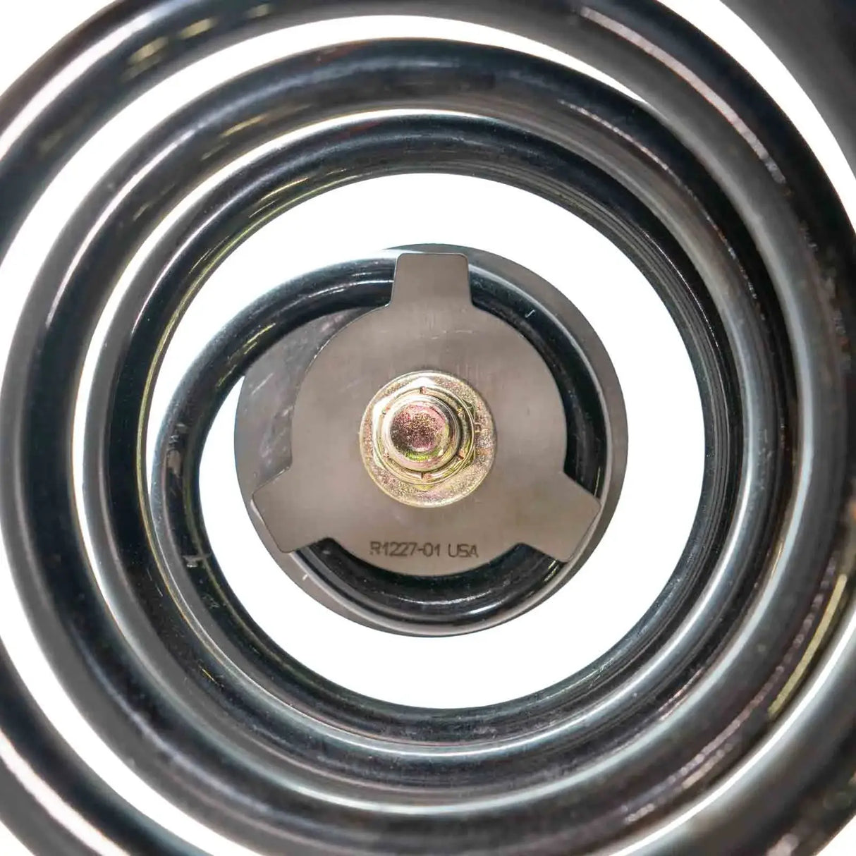 Coil Spring Pig Tail Tie Downs