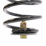 Coil Spring Pig Tail Tie Downs