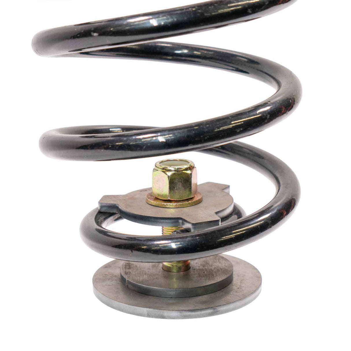 Coil Spring Pig Tail Tie Downs